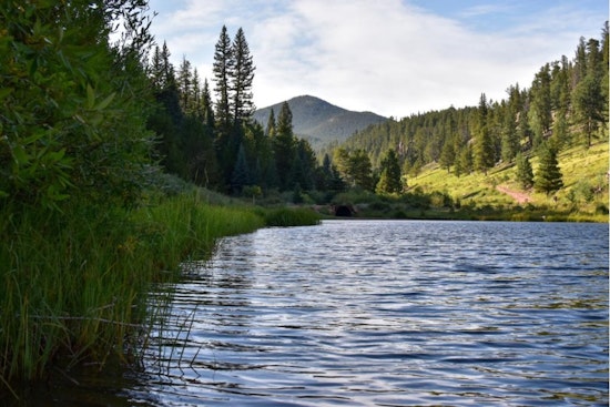 Have Your Say on the Future of Staunton State Park Near Denver: Public Feedback Sought for First-Ever Management Plan