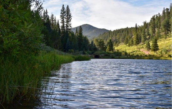 Have Your Say on the Future of Staunton State Park Near Denver: Public Feedback Sought for First-Ever Management Plan