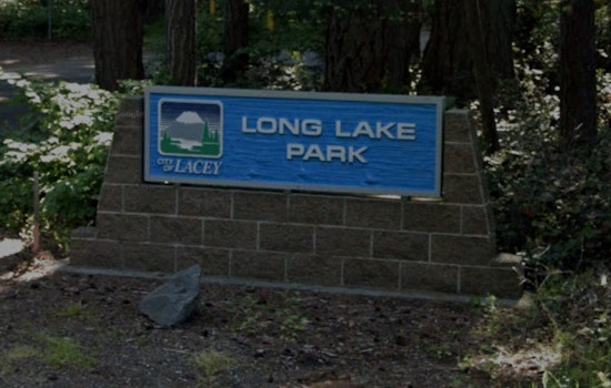 Health Advisory Issued at Long Lake Park in Lacey Due to Swimmer's Itch Outbreak
