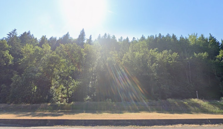 Heat Advisory Issued for Portland as Residents Brace for Temperatures Up to 98 Degrees
