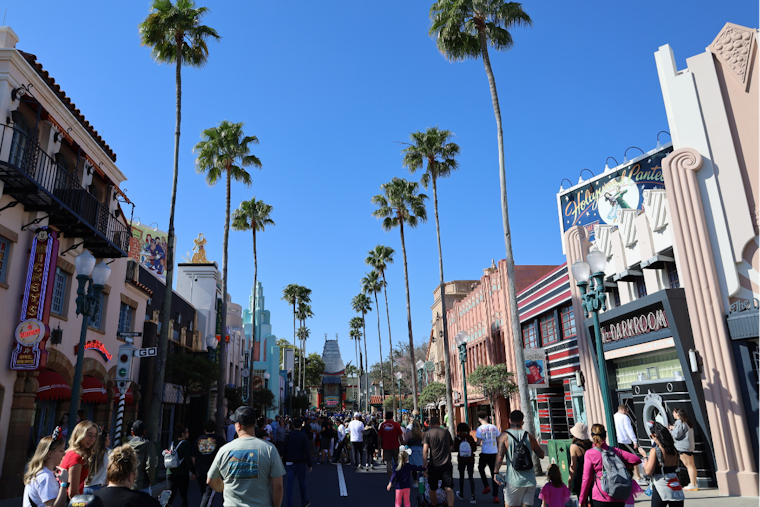 Heroic Illinois Doc Saves Teen Girl's Life with Defibrillator at Disney's Hollywood Studios