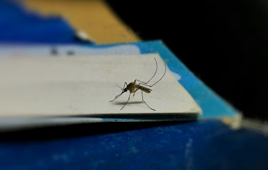 Hillsborough County Joins Forces with Florida Health Department to Combat Mosquito-Borne Diseases Amid Summer Surge