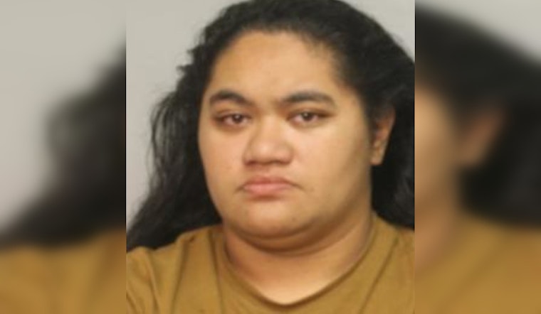 Hilo Woman Charged with Credit Card Fraud, Identity Theft Following Police Investigation