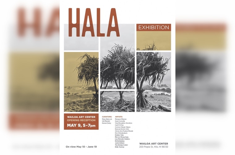 Honolulu Heats Up with June Art and Culture Events, Late Nights at HoMA and More