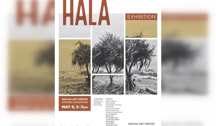 Honolulu Heats Up with June Art and Culture Events, Late Nights at HoMA and More