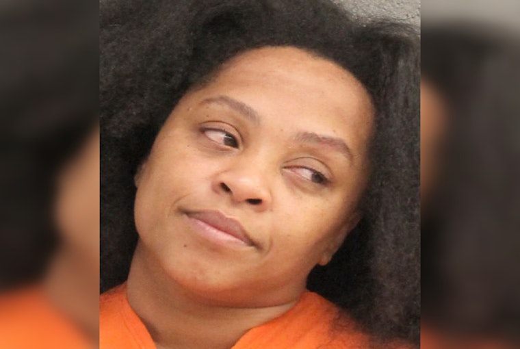 Houston Area Traffic Stop Leads to DWI Charge for Ashley Anderson