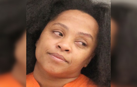 Houston Area Traffic Stop Leads to DWI Charge for Ashley Anderson