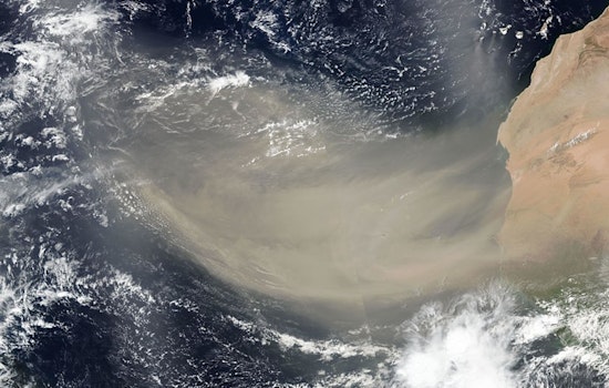 Houston Braces for Saharan Dust Arrival, Potential Air Quality and Health Impacts Expected