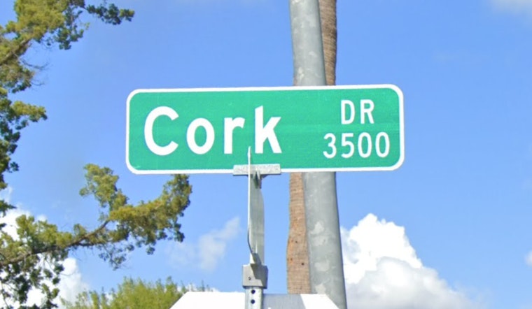 Houston Police Probe Fatal Collision at 3600 Cork Drive as Elderly Woman Killed, Others Injured