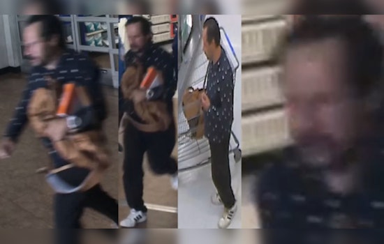 Houston Police Seek Public's Assistance to Identify Suspect in Violent Westview Area Store Theft