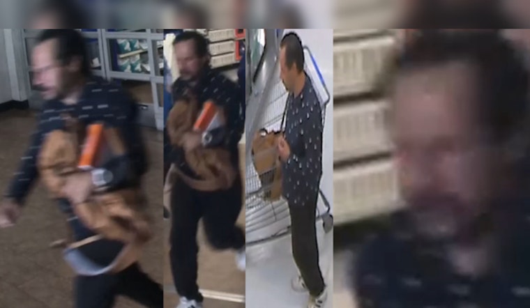 Houston Police Seek Public's Assistance to Identify Suspect in Violent Westview Area Store Theft