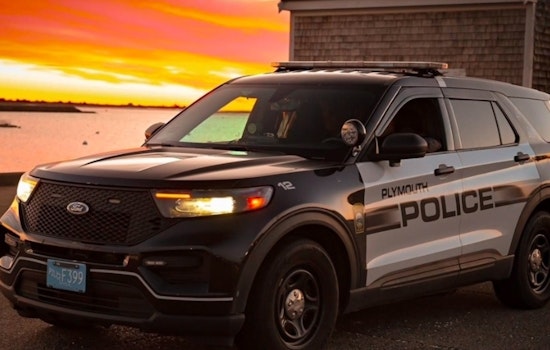 ICE Agents and Plymouth Police Chase Miami Man Through Historic Cemetery as Suspect Is Caught After Damaging Gravesites