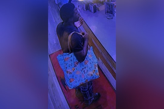 New Orleans Police Seek Help to Identify Suspect in North Carrollton Avenue and City Park Assaults