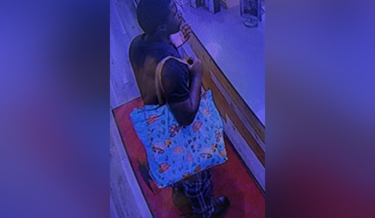 New Orleans Police Seek Help to Identify Suspect in North Carrollton Avenue and City Park Assaults