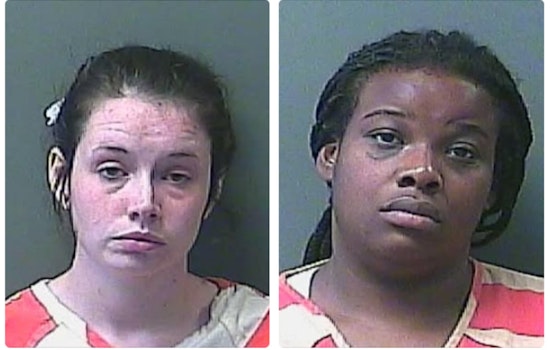 Infant Fatality in LaPorte County Road Rage Incident; Mother Charged with Reckless Homicide, Other Driver Faces Charges