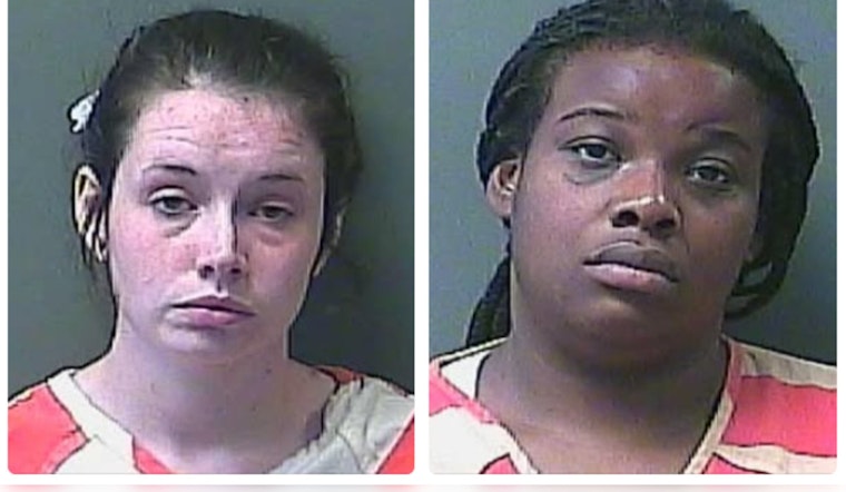 Infant Fatality in LaPorte County Road Rage Incident; Mother Charged with Reckless Homicide, Other Driver Faces Charges