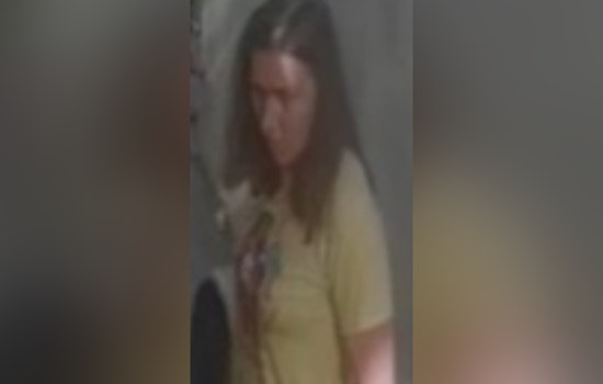 Jacksonville Police Seek Identity of Suspected Sunglass-Swiping Woman in Southside Estates Vehicle Burglary