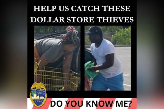Jacksonville Sheriff's Office Seeks Public's Help to Nab Suspected Dollar Store Shoplifters in Chimney Lakes