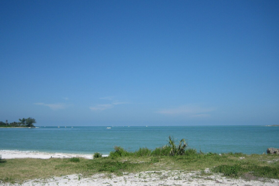 Jaws of Tragedy: 9-Year-Old Girl Loses Hand in Chilling Shark Attack off Boca Grande Coast