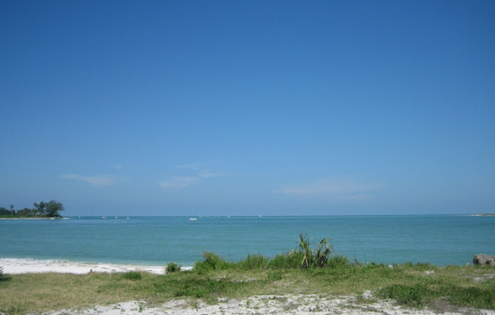 Jaws of Tragedy: 9-Year-Old Girl Loses Hand in Chilling Shark Attack off Boca Grande Coast