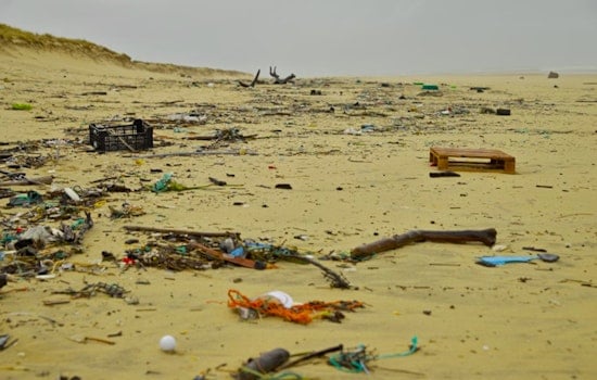 Jefferson Parish Residents to Receive $4.5 Million Settlement for Landfill Odor Issues