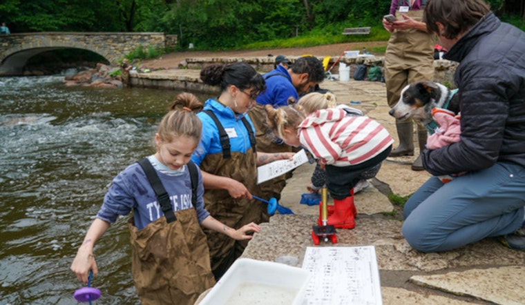 Join the Community Science Fun: Minneapolis' Theodore Wirth Park Hosts Final Early-Summer BioBlitz