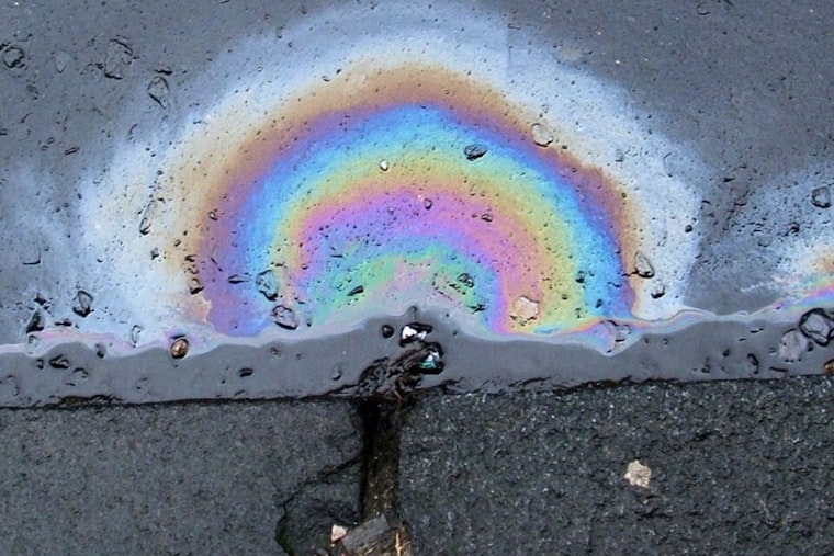 Kelowna Corporation Fined $315,000 for Diesel Spill Affecting Cheney's Minnie Creek and Wetlands