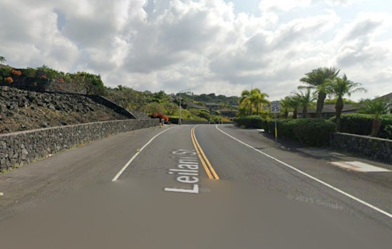 Kona Police Seek Public's Help to Identify Suspected Burglar in Leilani Street Incident