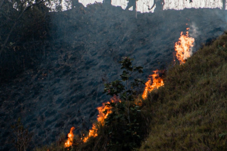 LAFD Halts Sepulveda Basin Brush Fire Spread at Just Under 3 Acres, No Injuries Reported