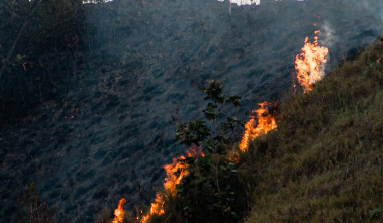 LAFD Halts Sepulveda Basin Brush Fire Spread at Just Under 3 Acres, No Injuries Reported