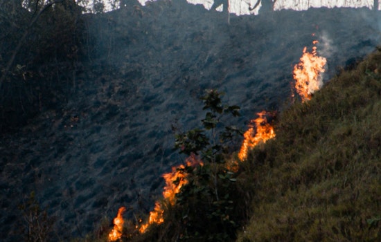LAFD Quickly Contains Brush Fire in Sepulveda Basin, No Injuries Reported