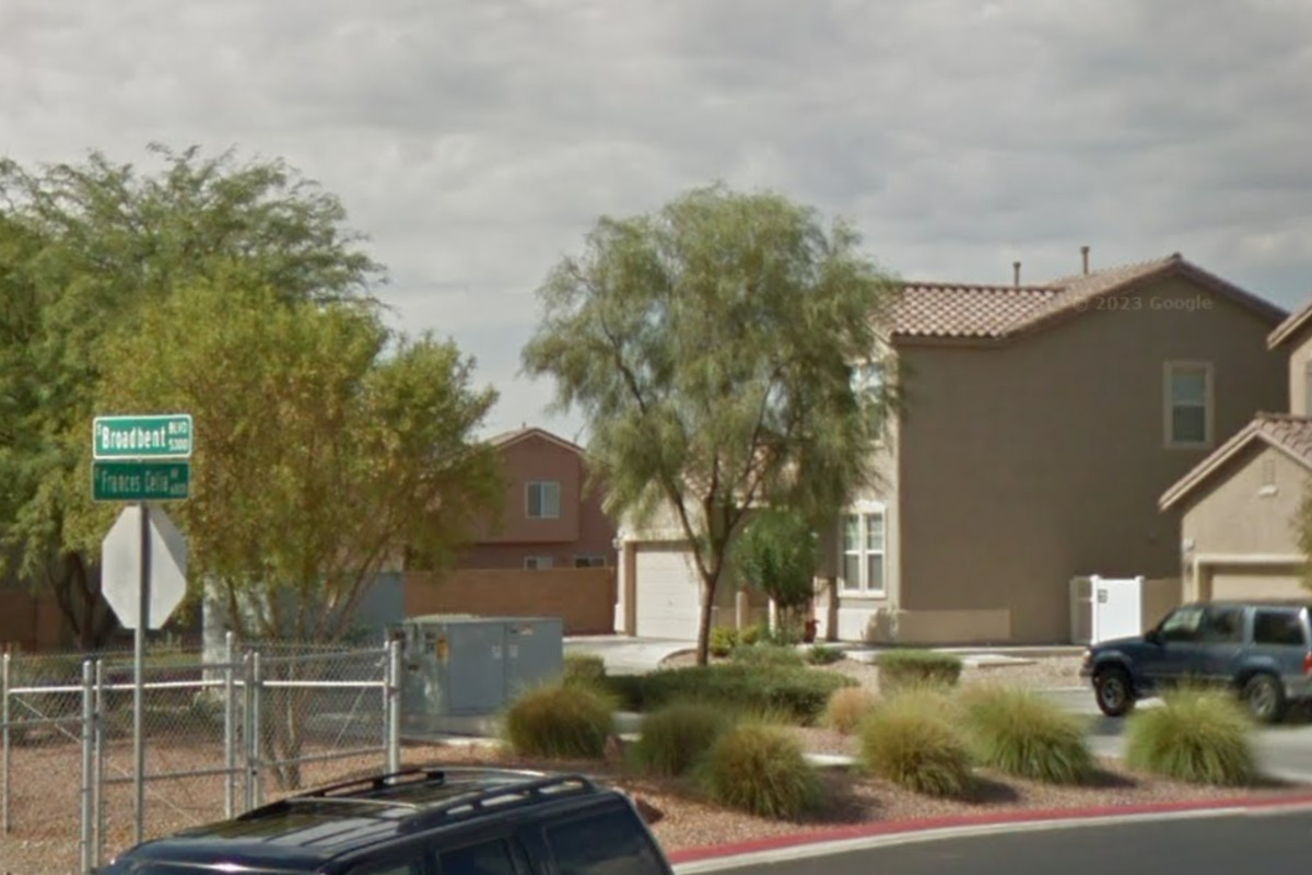Las Vegas Resident Charged with Animal Cruelty After Dog Dies in