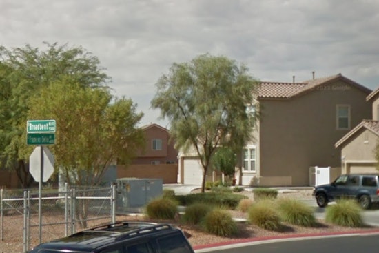 Las Vegas Resident Charged with Animal Cruelty After Dog Dies in Extreme Heat