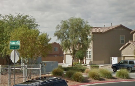 Las Vegas Resident Charged with Animal Cruelty After Dog Dies in Extreme Heat