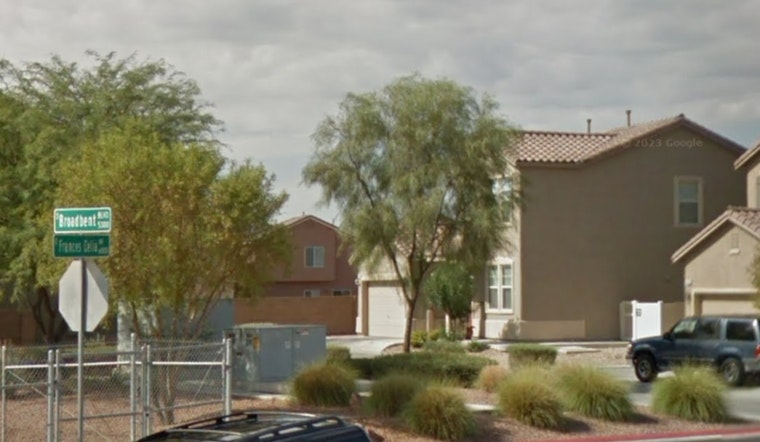 Las Vegas Resident Charged with Animal Cruelty After Dog Dies in Extreme Heat