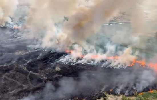 Las Vegas Wetlands Park Blaze Tackled by Firefighters with Aerial Support from LVMPD Air Unit