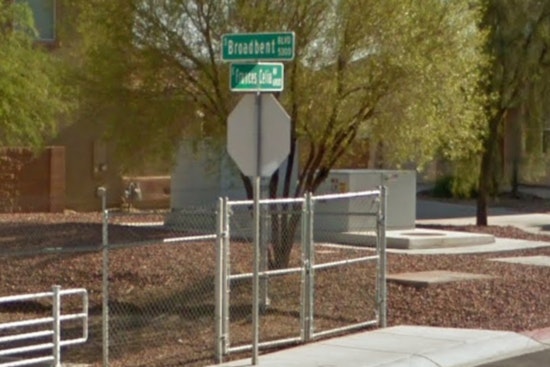 Las Vegas Woman Charged with Felony Animal Cruelty After French Bulldog Dies in Extreme Heat