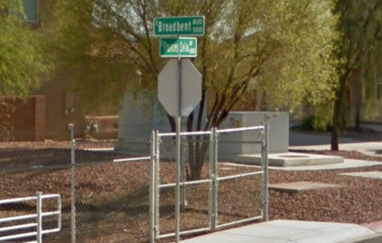 Las Vegas Woman Charged with Felony Animal Cruelty After French Bulldog Dies in Extreme Heat