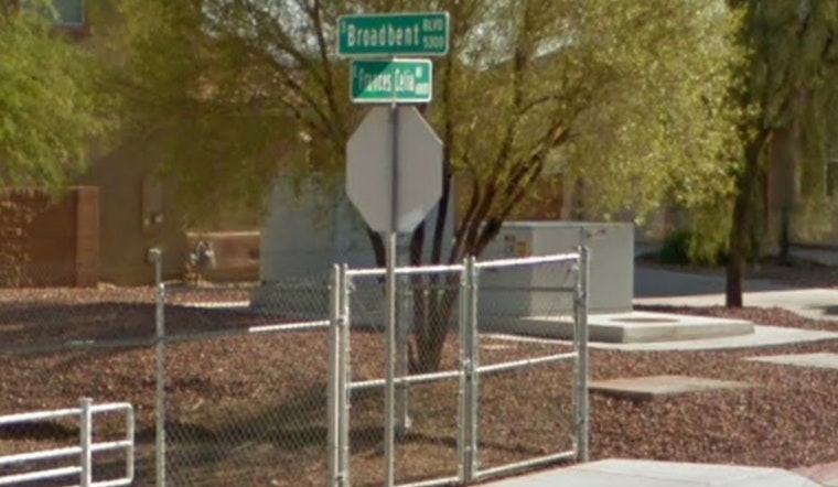 Las Vegas Woman Charged with Felony Animal Cruelty After French Bulldog Dies in Extreme Heat