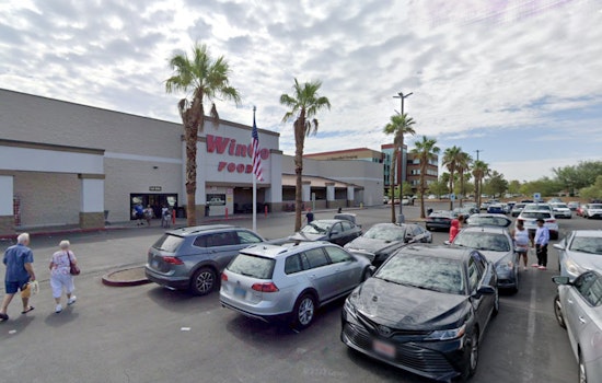 Las Vegas Woman Pleads for Help After Akita Puppy Stolen from Tesla in WinCo Parking Lot