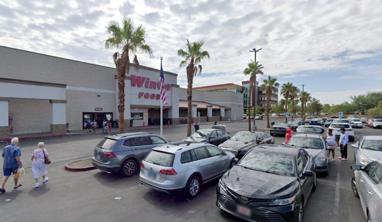 Las Vegas Woman Pleads for Help After Akita Puppy Stolen from Tesla in WinCo Parking Lot