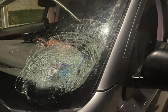 Leander Police Seek Help in Locating Juveniles Suspected of Injuring People, Damaging Cars with Frozen Water Bottles
