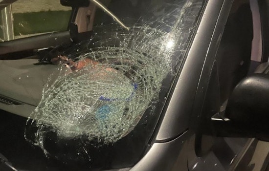 Leander Police Seek Help in Locating Juveniles Suspected of Injuring People, Damaging Cars with Frozen Water Bottles