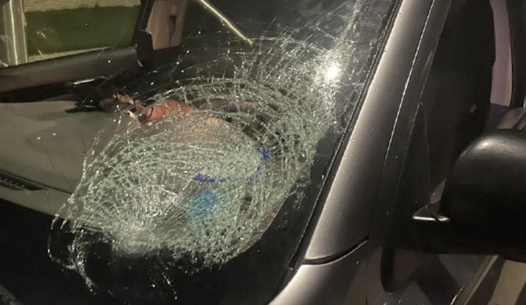 Leander Police Seek Help in Locating Juveniles Suspected of Injuring People, Damaging Cars with Frozen Water Bottles
