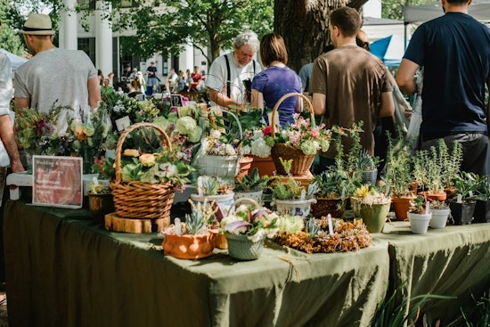 Litchfield Square Park Welcomes Summer with Weekly A Community Affair Farmers Market