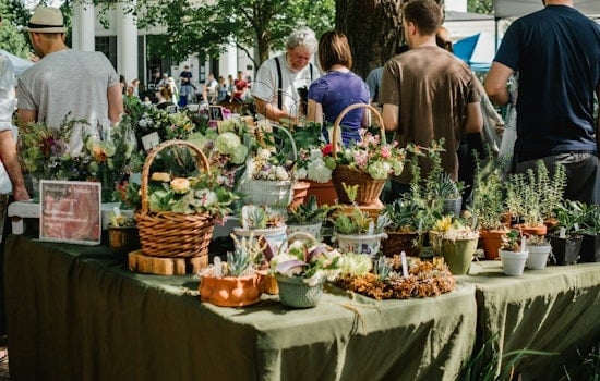 Litchfield Square Park Welcomes Summer with Weekly A Community Affair Farmers Market