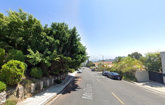 Los Angeles Fire Department Conducts Daring Tree Rescue in Hollywood Hills West