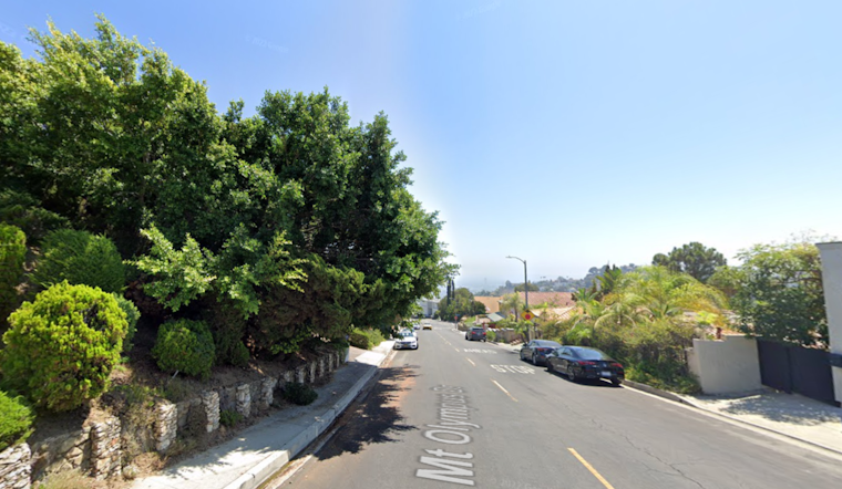 Los Angeles Fire Department Conducts Daring Tree Rescue in Hollywood Hills West