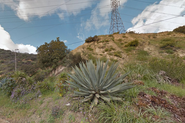 Los Angeles Firefighters Quickly Extinguish Runyon Canyon Brush Fire