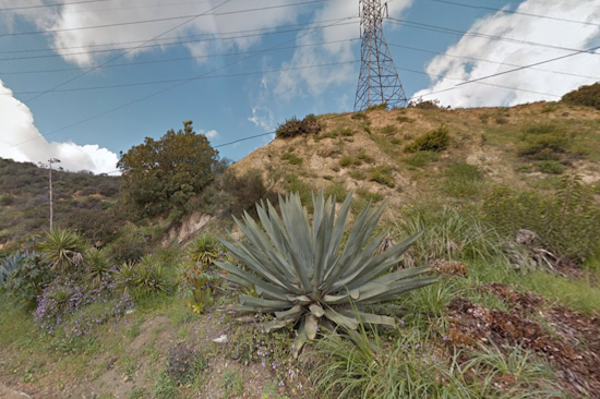 Los Angeles Firefighters Quickly Extinguish Runyon Canyon Brush Fire